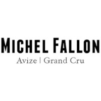 Fallon Michel