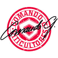 Comando G-daniel Landi