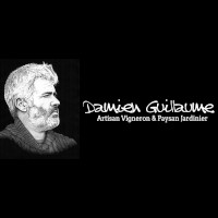 Damien Guillaume