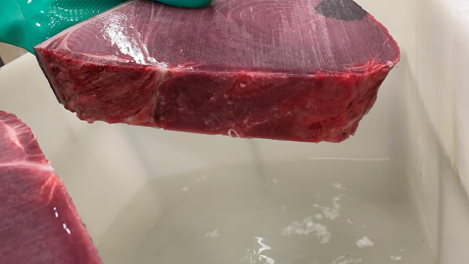 Tonno Rosso Siciliano 1